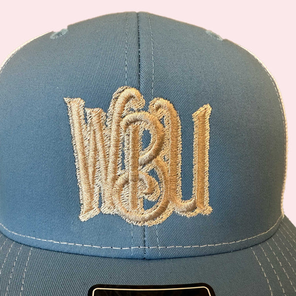 Light Blue on White Mesh